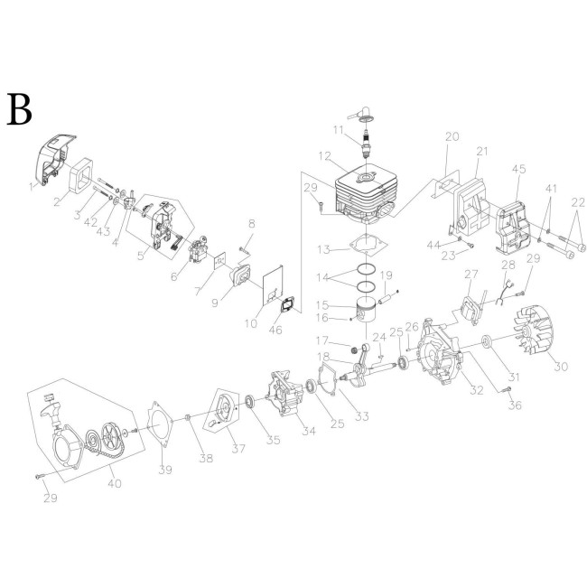 Dmuchawa do liści - LB5200BP 