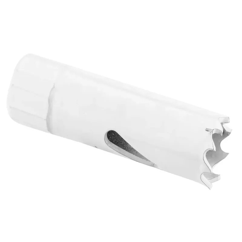 Otwornica