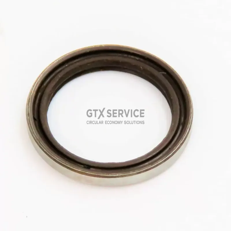 Uszczelka do Szlifierka do gipsu - GRAPHITE 59G263
