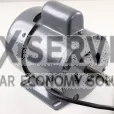 2045042044 - GRAPHITE - K/59G895-3